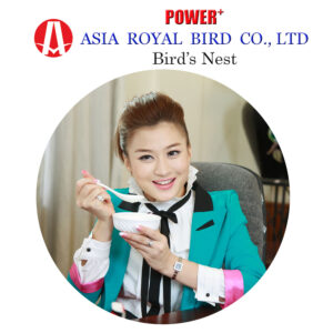 POWER PLUS { Bird’s Nest